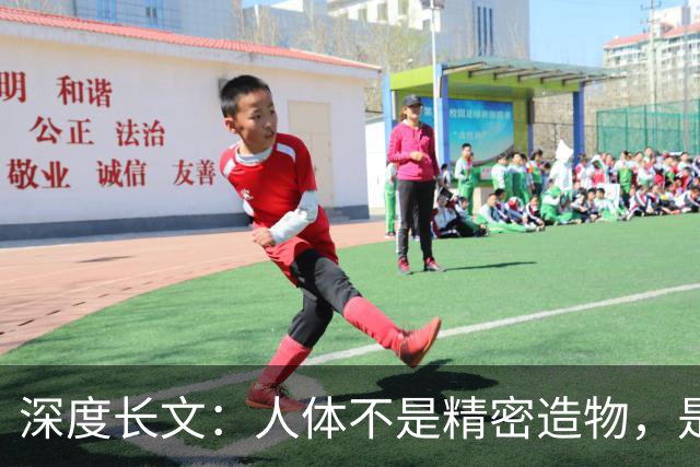 深度长文：人体不是精密造物，是进化盖了 5 亿年的“烂尾楼”！
